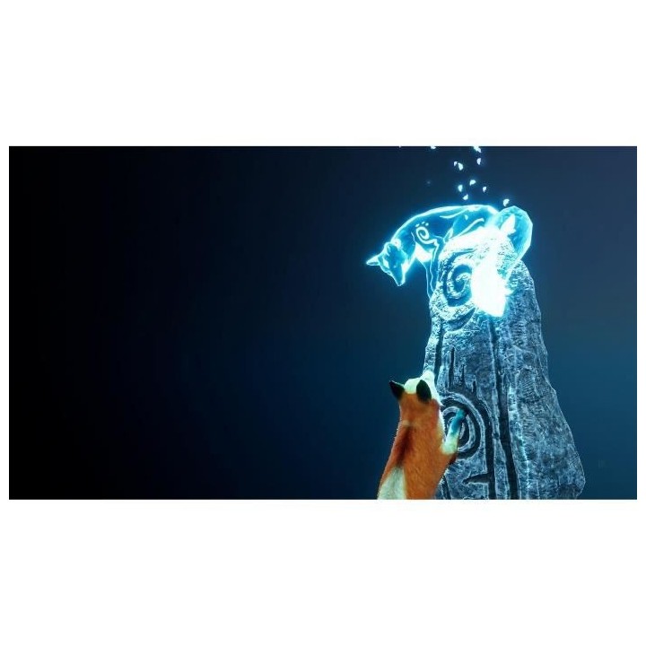 Spirit of the North Jeu PS5