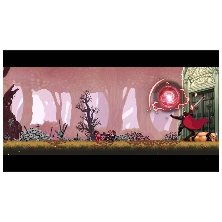 Skul The Hero Slayer Jeu Switch