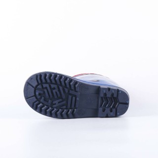 Carte postale microlorge