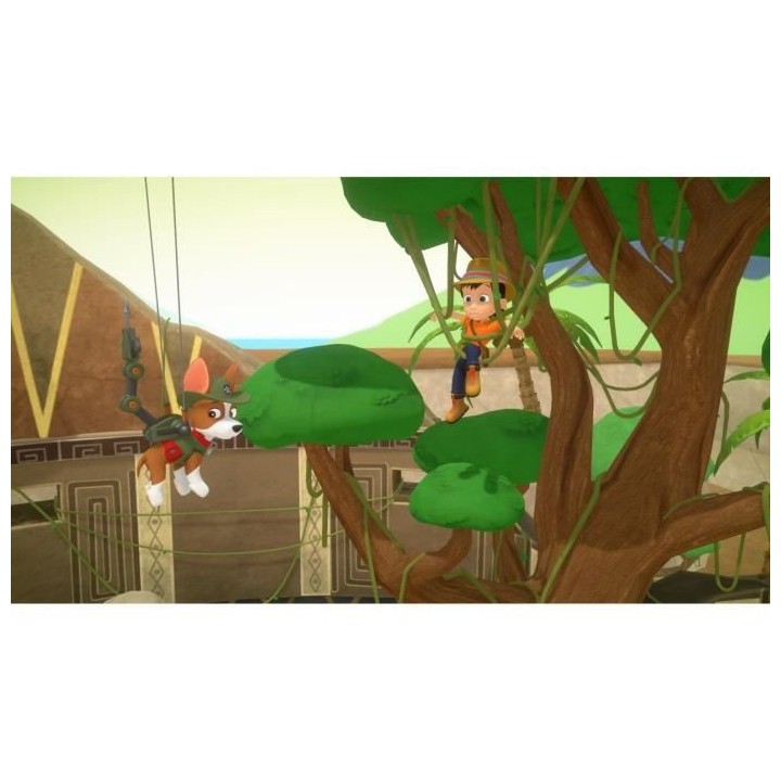 Pat' Patrouille : La Super Patrouille sauve la grande vallée Jeu Nint