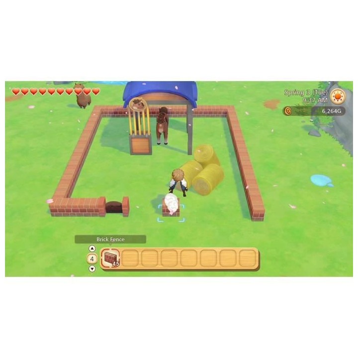 Story of Seasons : Pioneers of Olive Town Jeu Switch