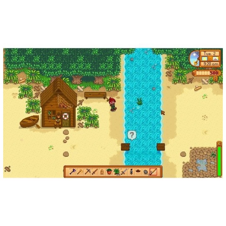 Stardew Valley Jeu Switch