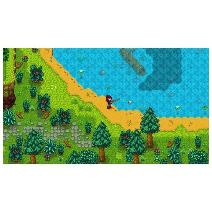 Stardew Valley Jeu Switch