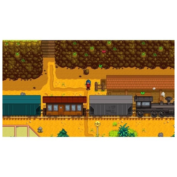 Stardew Valley Jeu Switch