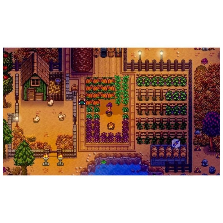 Stardew Valley Jeu Switch