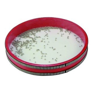 Carte postale microlorge