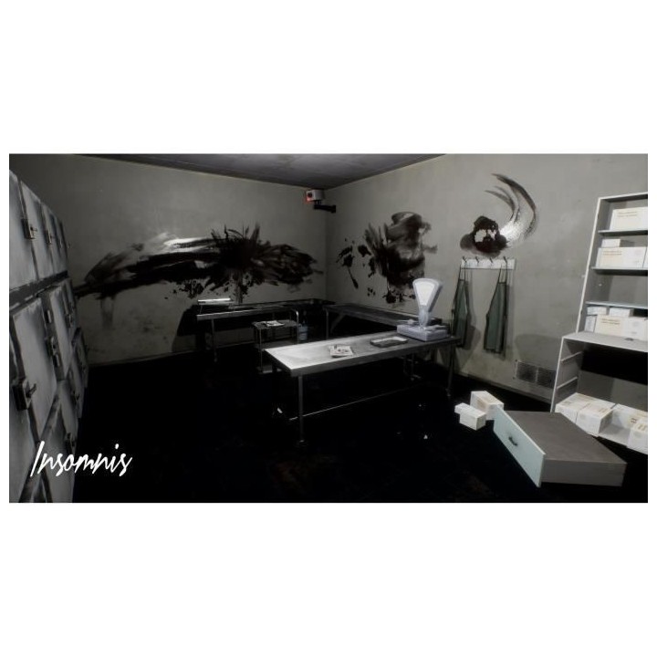 Insomnis - Enhanced Edition Jeu PS5