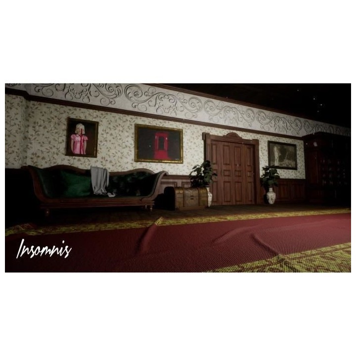 Insomnis - Enhanced Edition Jeu PS5