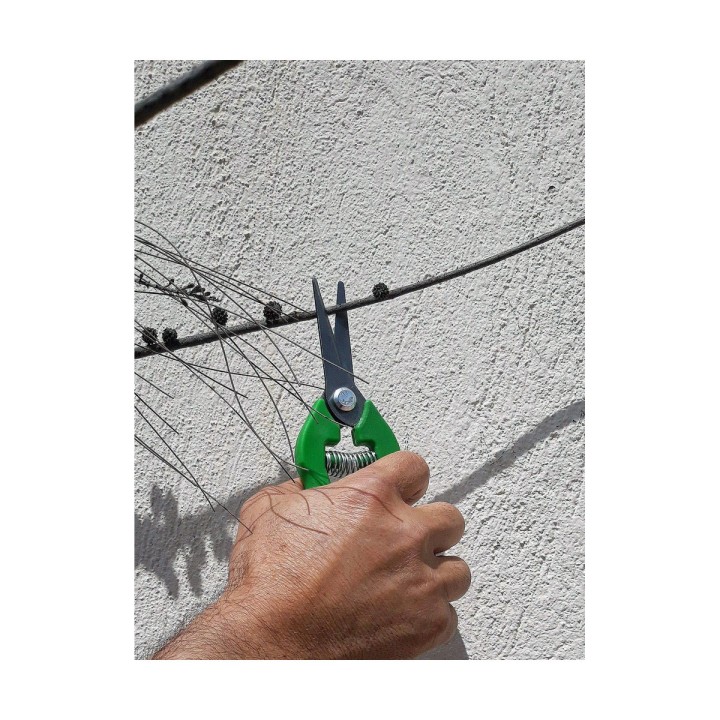 Carte postale microlorge