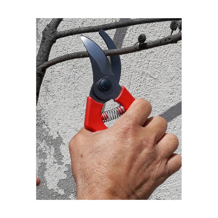 Carte postale microlorge