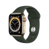 Apple Watch Series 6 GPS + Cellular, 40mm Boîtier en Acier Inoxidable Or avec Bracelet Sport Vert de Chypre