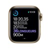 Apple Watch Series 6 GPS + Cellular, 40mm Boîtier en Acier Inoxidable Or avec Bracelet Sport Vert de Chypre