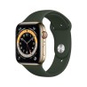 Apple Watch Series 6 GPS + Cellular, 44mm Boîtier en Acier Inoxidable Or avec Bracelet Sport Vert de Chypre