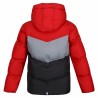 Veste de Sport pour Enfants Regatta Lofthouse VI Rouge Avec capuche