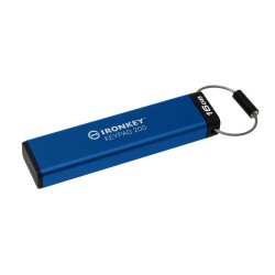 Mémoire Flash Kingston IKKP200 Bleu 16 GB