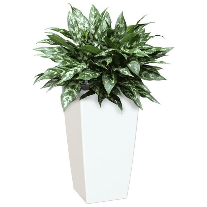 ARTEVASI - Pot pisa auto-arrosage 60cm blanc 33 x 33 x h61 cm - 4,42l