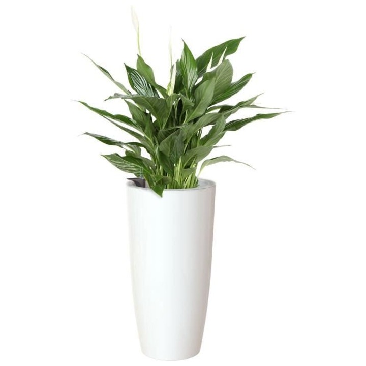 ARTEVASI - Pot santorini auto-arrosage 65cm blanc 33 x 33 x h65 cm - 3