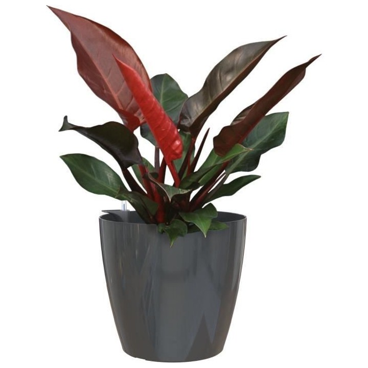 ARTEVASI - Pot san remo auto-arrosage 36cm anthracite 36 x 36 x h33,5
