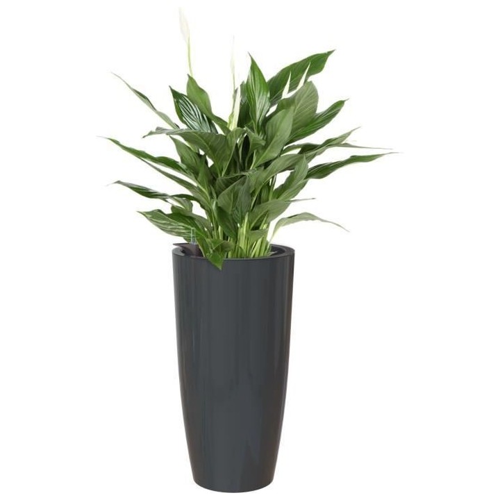 ARTEVASI - Pot santorini auto-arrosage 65cm anthracite 33 x 33 x h65 c