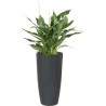 ARTEVASI - Pot santorini auto-arrosage 65cm anthracite 33 x 33 x h65 cm - 3,71l