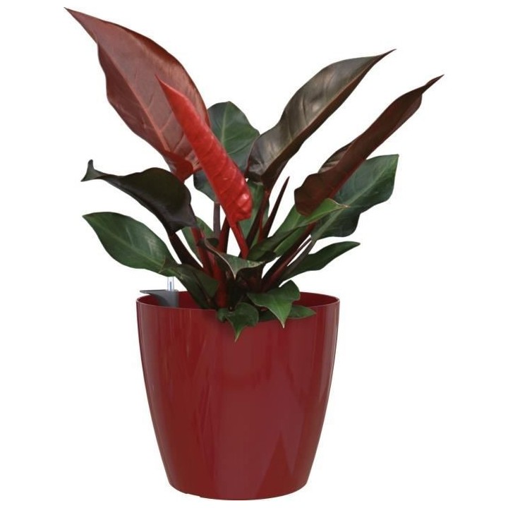 ARTEVASI - Pot san remo auto-arrosage 36cm rouge foncé 36 x 36 x h33,