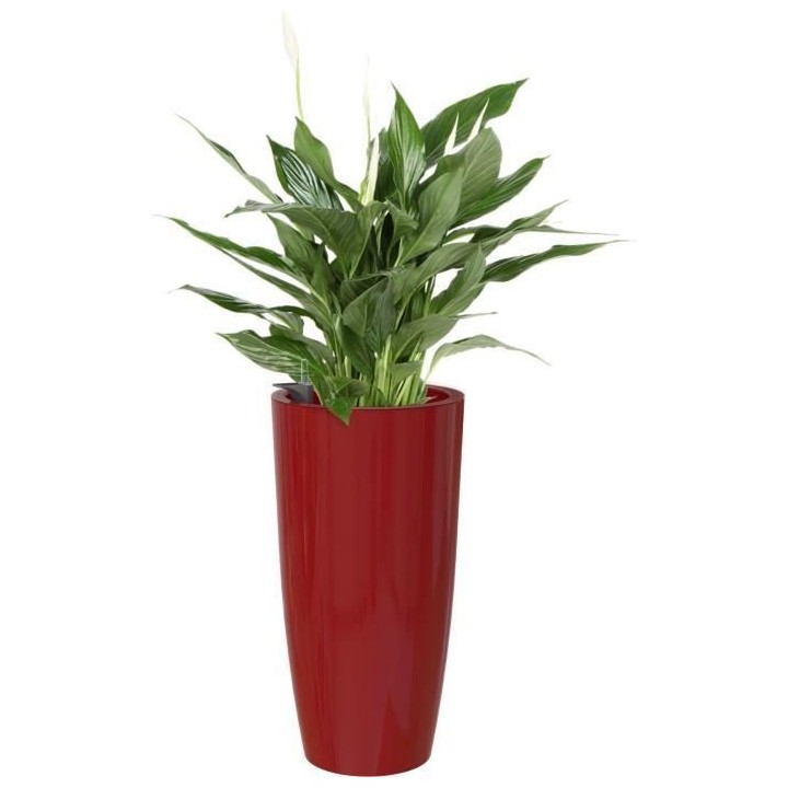 ARTEVASI - Pot santorini auto-arrosage 65cm rouge foncé 33 x 33 x h65