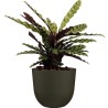 ARTEVASI - Pot havana naturel 30cm vert mousse 30 x 30 x h24,9 cm - 0,91l