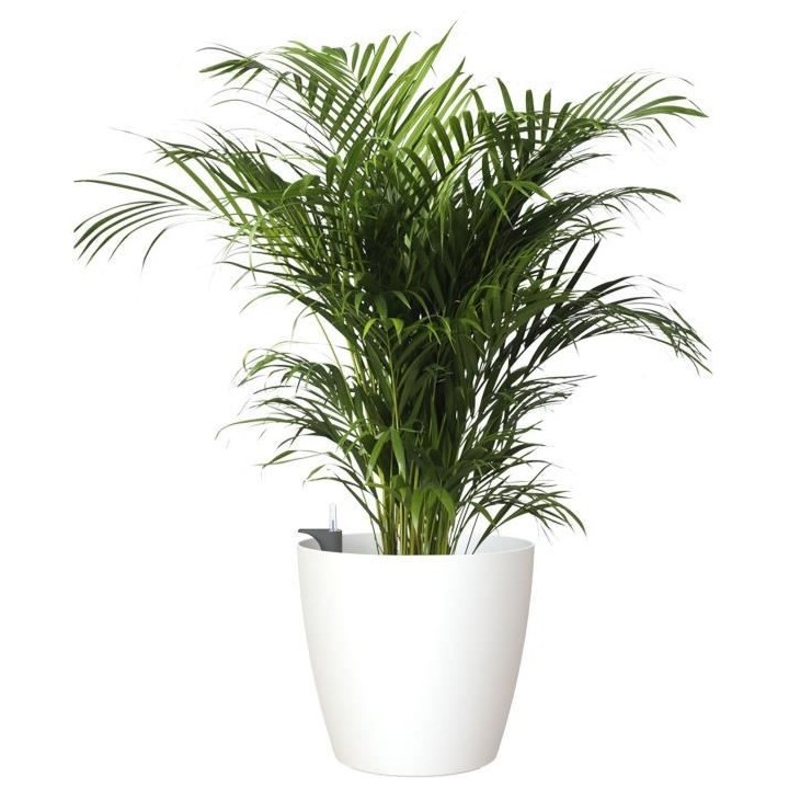 ARTEVASI - Pot san remo mate 30cm auto-arrosage blanc 30 x 30 x h27,3