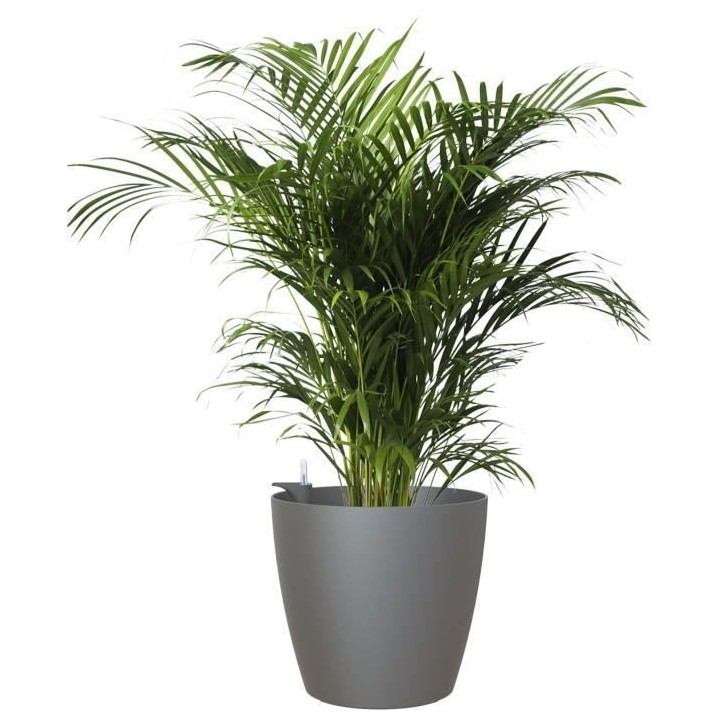 ARTEVASI - Pot san remo mate 36cm auto-arrosage anthracite 36 x 36 x h