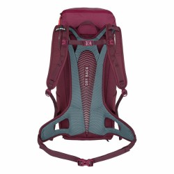 Sac polochon Salewa Alp Mate 30 Fuchsia