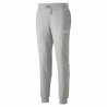 Pantalon de Survêtement pour Adultes Puma Power Gris Homme