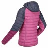 Veste de Sport pour Femme Regatta Harrock Fuchsia