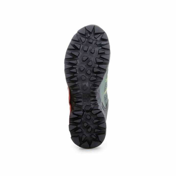 Carte postale microlorge