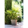 EDA Pot carré Toscane - 50 cm - 87 L - Taupe