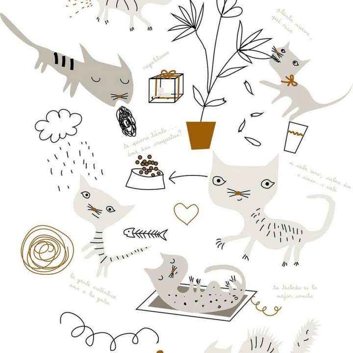 Carte postale microlorge