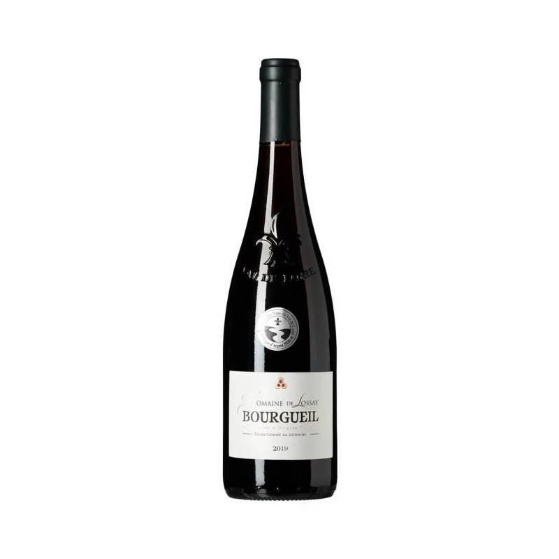 Domaine de Lossay 2019 Bourgueil - Vin rouge de Loire x1