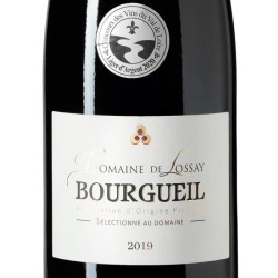 Domaine de Lossay 2019 Bourgueil - Vin rouge de Loire x1