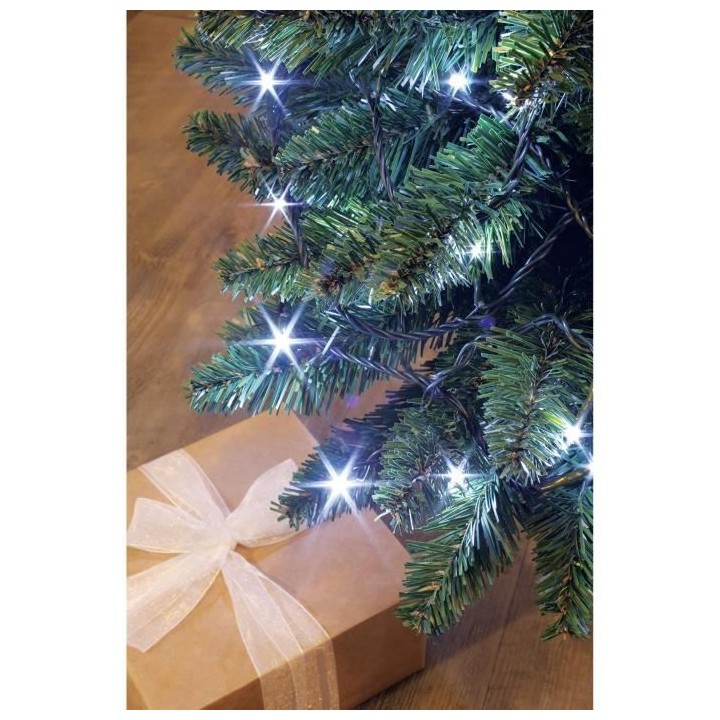 BLACHERE ILLUMINATION Guirlande intérieure/extérieure de fete NoeL F