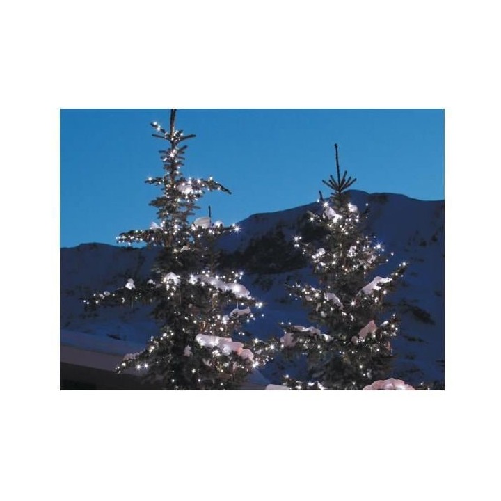 BLACHERE ILLUMINATION Guirlande intérieure/extérieure de fete NoeL F