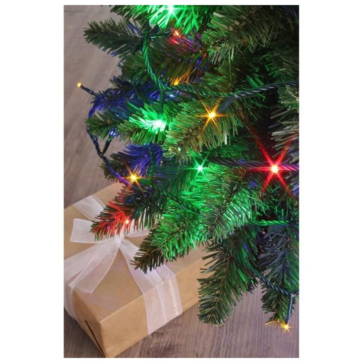 BLACHERE ILLUMINATION Guirlande intérieure/extérieure de fete NoeL F