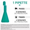 Frontline Combo Chien XL 4 pipettes