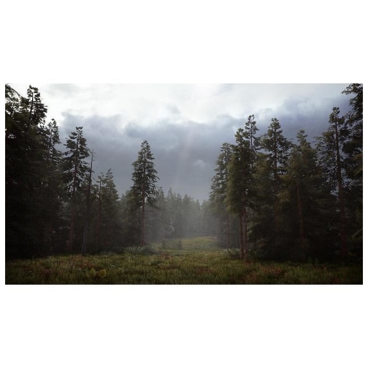 Hunting Simulator 2 Jeu PS4