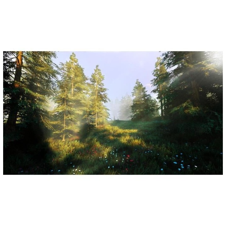 Hunting Simulator 2 Jeu PS4