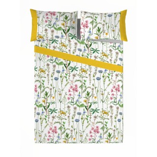 Carte postale microlorge