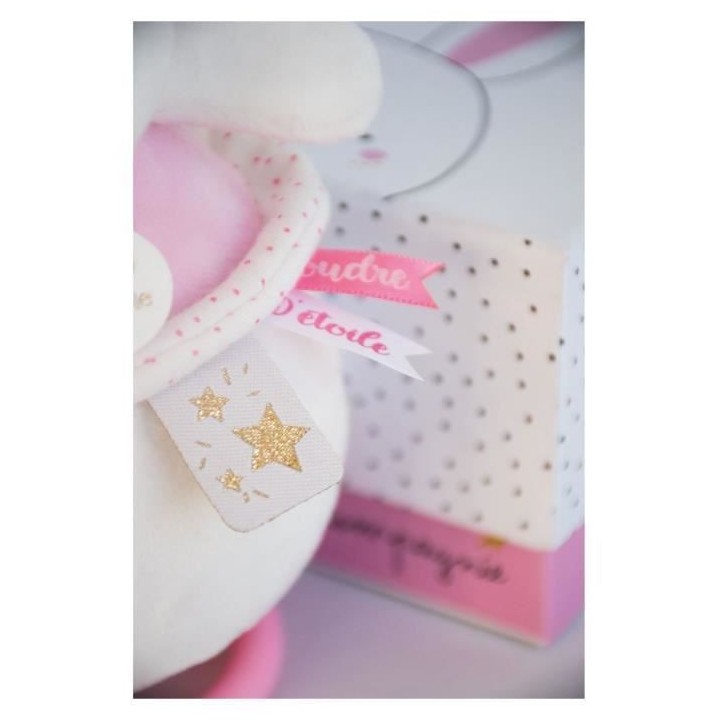 DOUDOU ET COMPAGNIE Lapin Fleurs - Boîte a musique