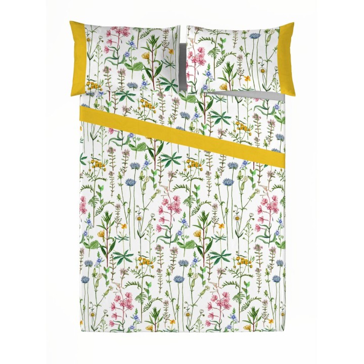 Carte postale microlorge