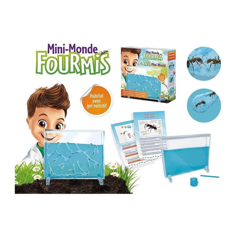 Mini monde des fourmis - Jeu éducatif - Jeu découverte - BUKI