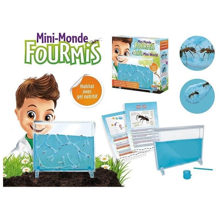 Mini monde des fourmis - Jeu éducatif - Jeu découverte - BUKI