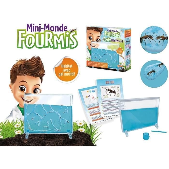 /22808/mini-monde-des-fourmis-jeu-educatif-jeu-decouverte-buki.jpg