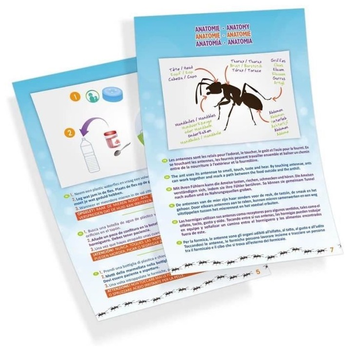 Mini monde des fourmis - Jeu éducatif - Jeu découverte - BUKI